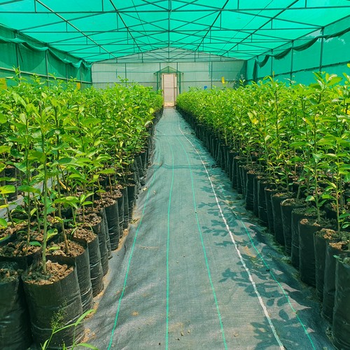 Weed Mats manufactured by B&V Agro Irrigation Co