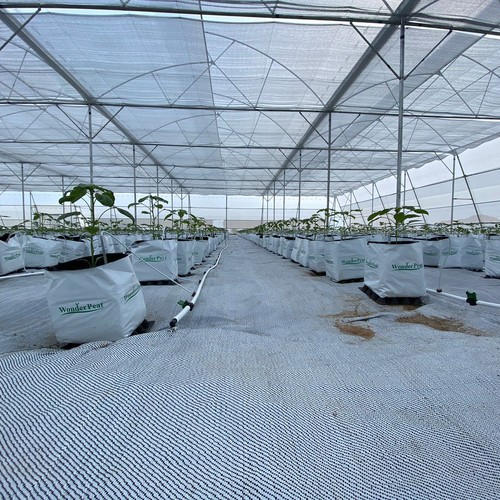 Weed Mats manufactured by B&V Agro Irrigation Co