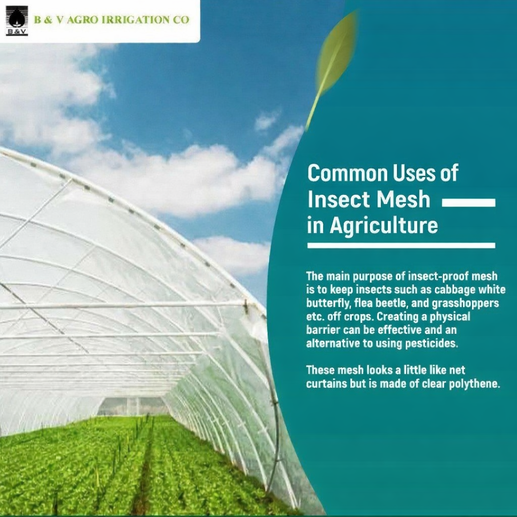 Common Uses of Insect Mesh in Agriculture