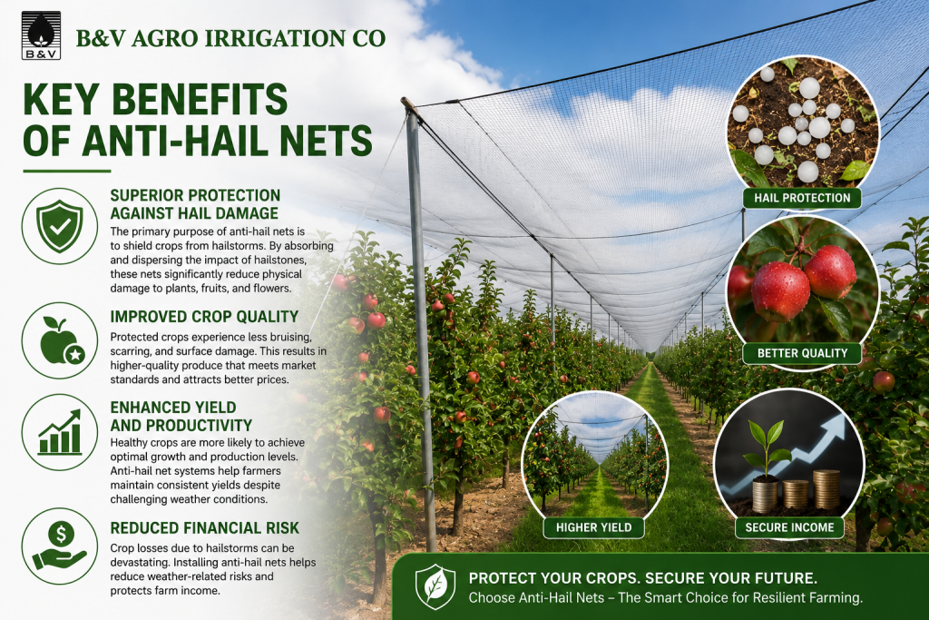 Key Benefits of Anti-Hail Nets