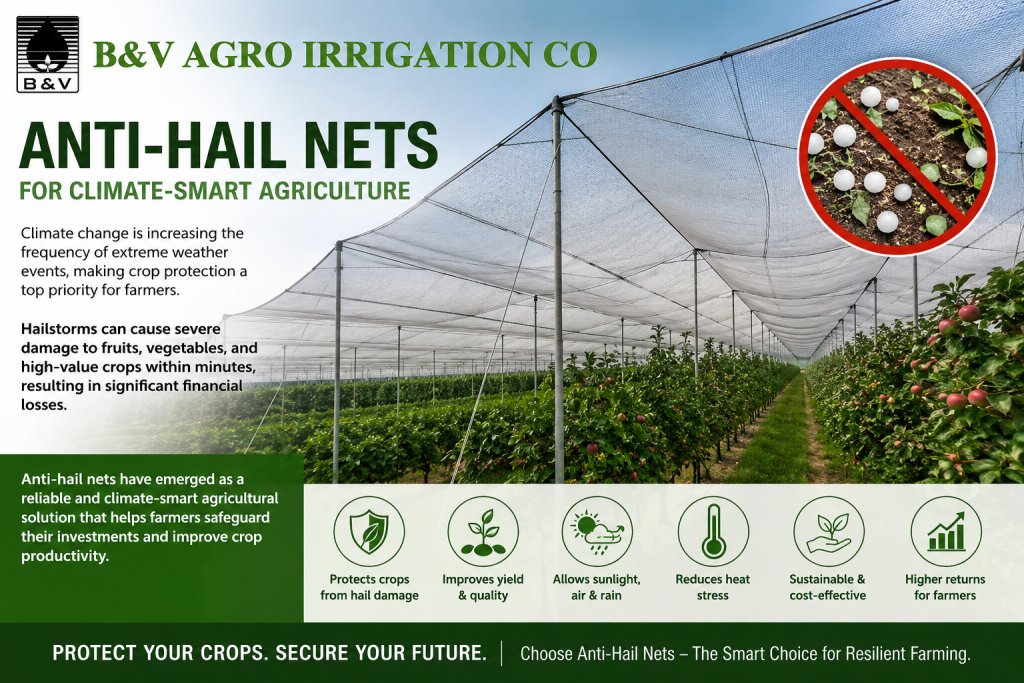 Anti-Hail Nets for Climate-Smart Agriculture