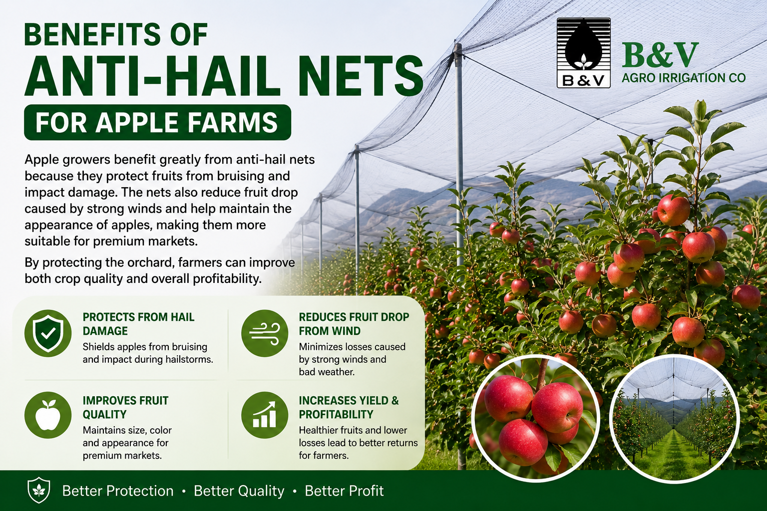 Benefits of Anti-Hail Nets for Apple Farms